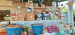 ร่วมช่วยเหลือกิจกรรมสอยดาวพาโชค ตามหลักคำที่ว่า # บวร = บ้าน วัด โรงเรียน...